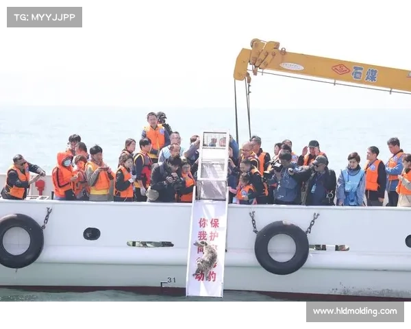 大连发布大体联世界杯视觉系统 海浪会徽与斑海豹吉祥物彰显海洋文化魅力
