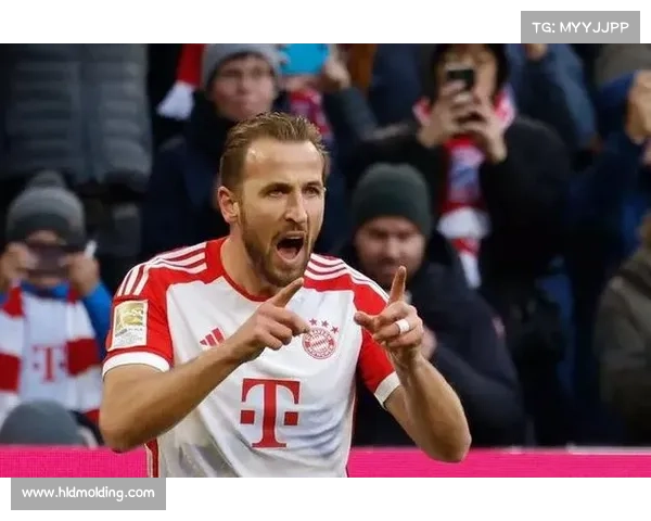 拜仁慕尼黑会员数量突破40万创下全球足球俱乐部新纪录